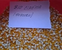 Kukuřice pukancová (popcorn) 4 druhy bio