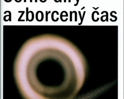 Černé díry a zborcený čas