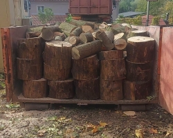 Palivové dřevo - Děčín 